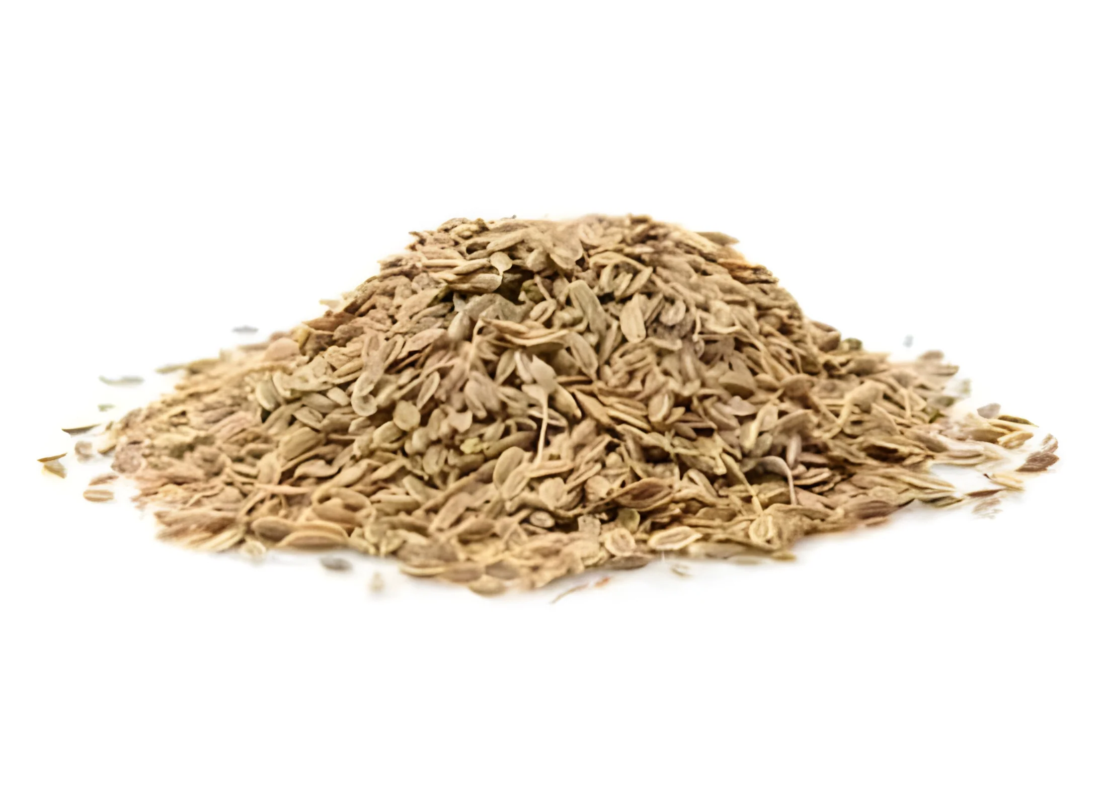 resizeImages/MjA3NDg0/mediabank/images/products/CelerySeedAjmoda1680100928_207484.webp