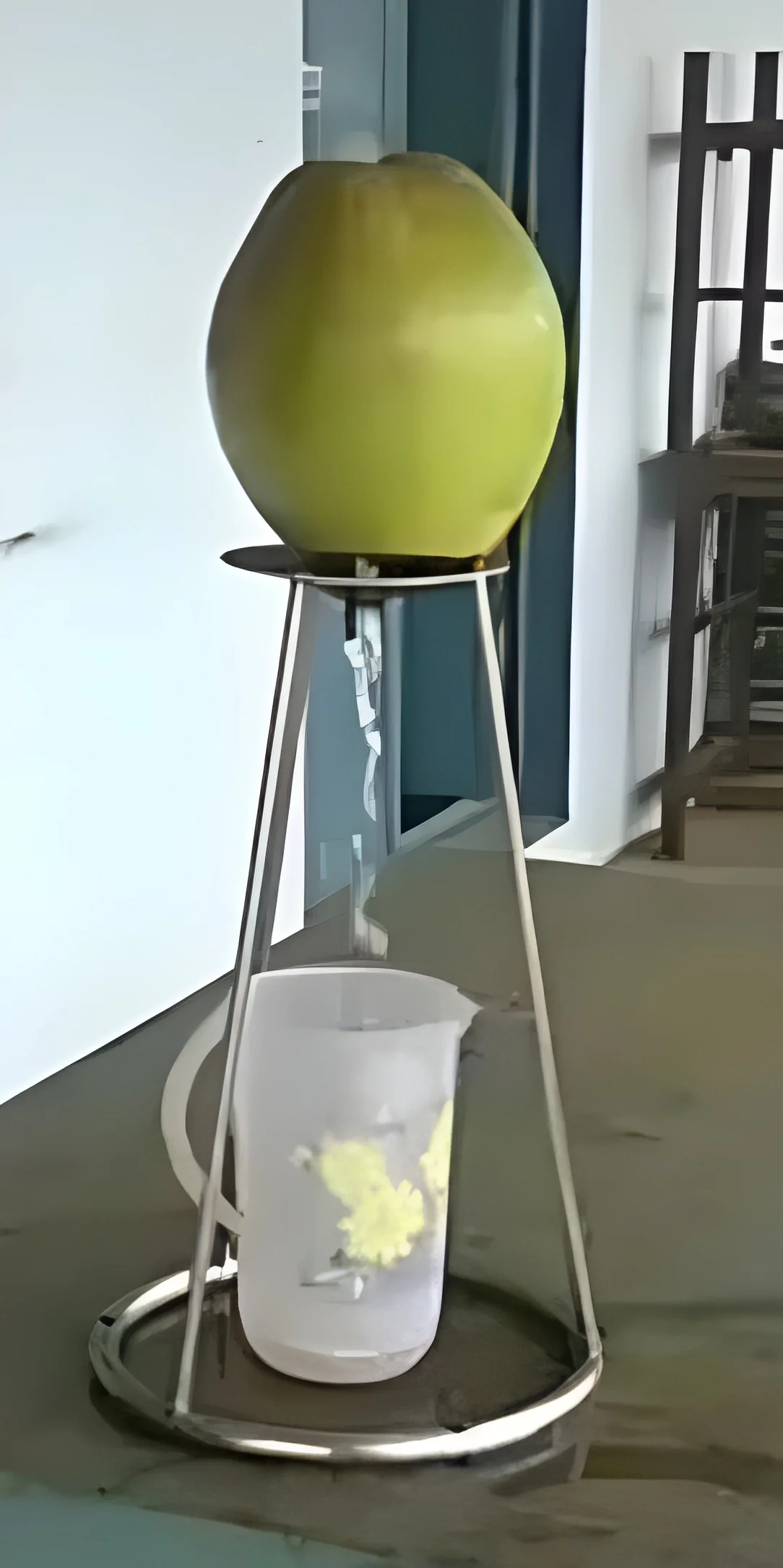 product-image-1