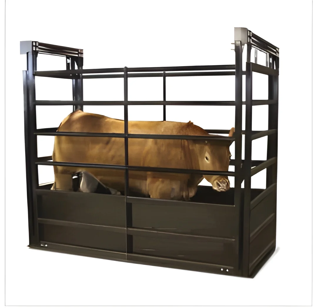 resizeImages/MjA4NzQx/mediabank/images/products/animalweighingscales727027903_208741.webp
