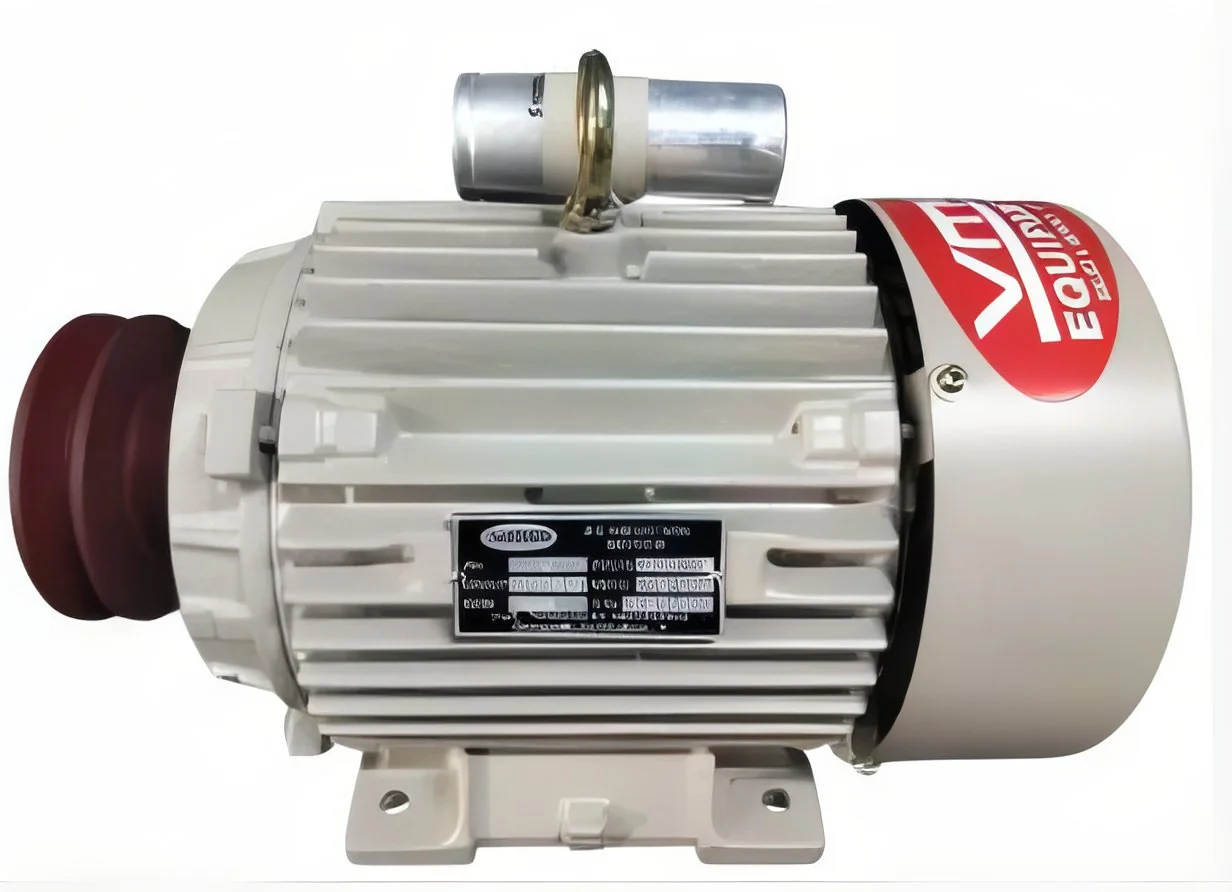 resizeImages/MjA4NzU5/mediabank/images/products/InductionMotors916943464_208759.webp