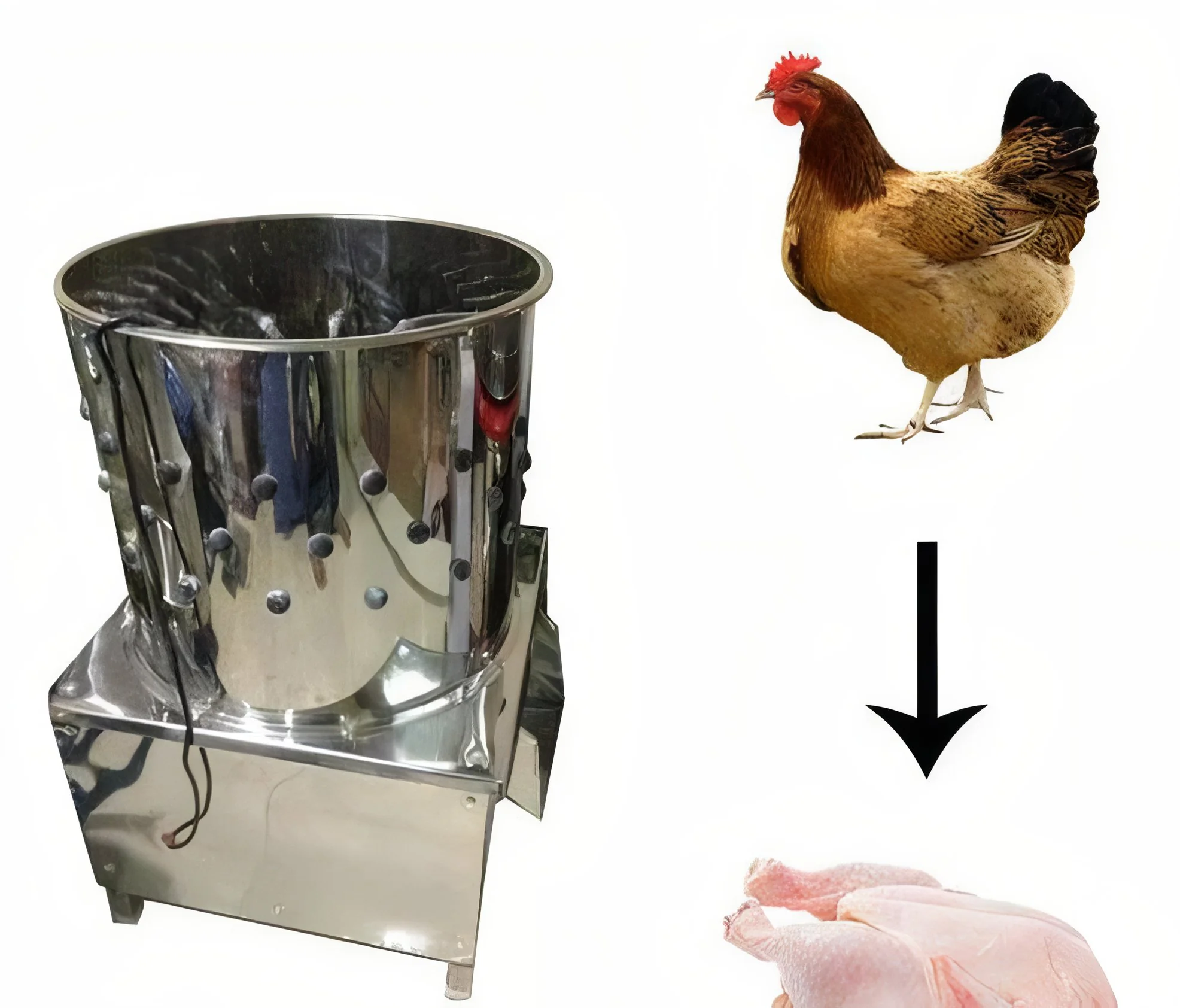 resizeImages/MjA4NzYx/mediabank/images/products/ChickenFeatherCleaningMachine748816671_208761.webp