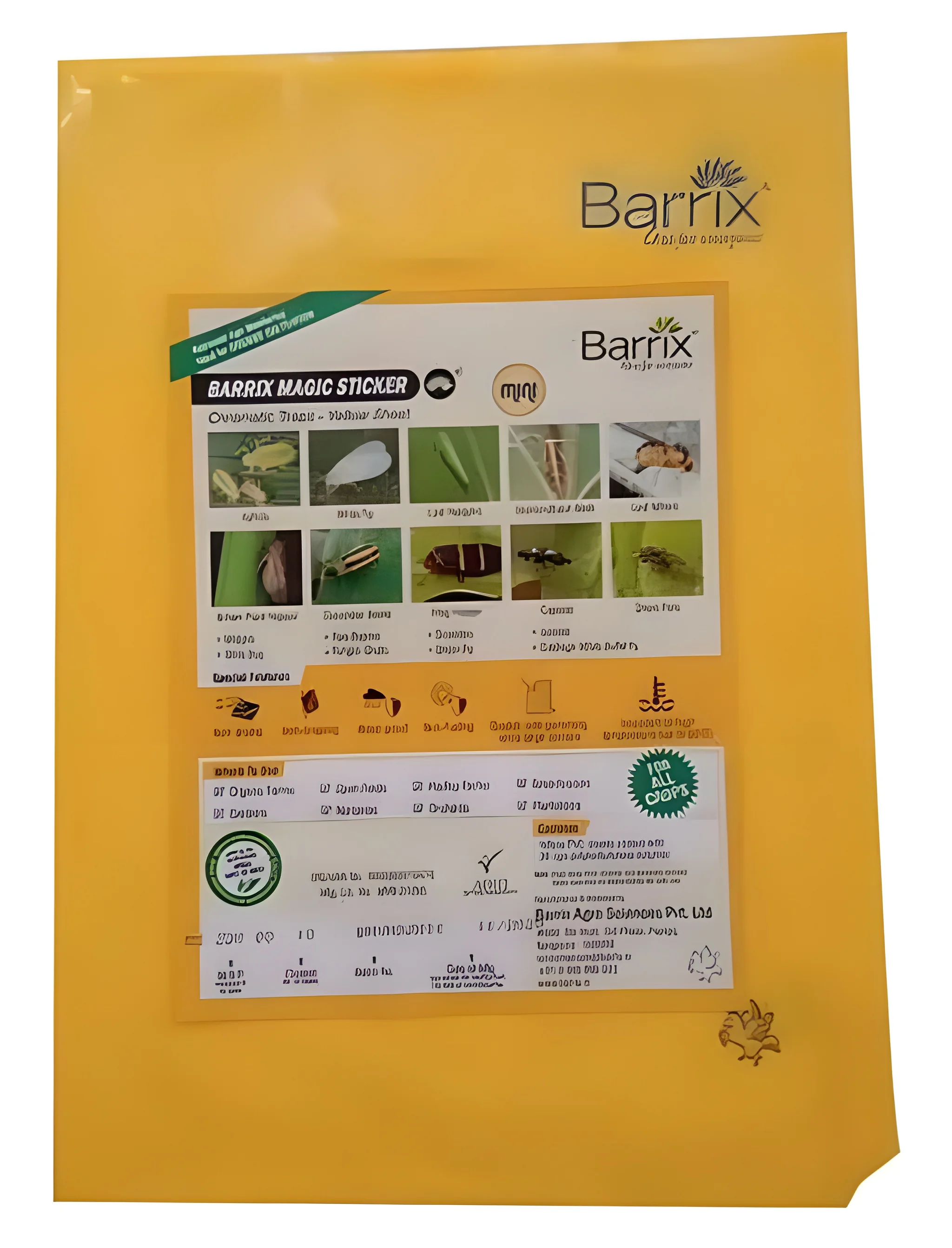 product-image-1