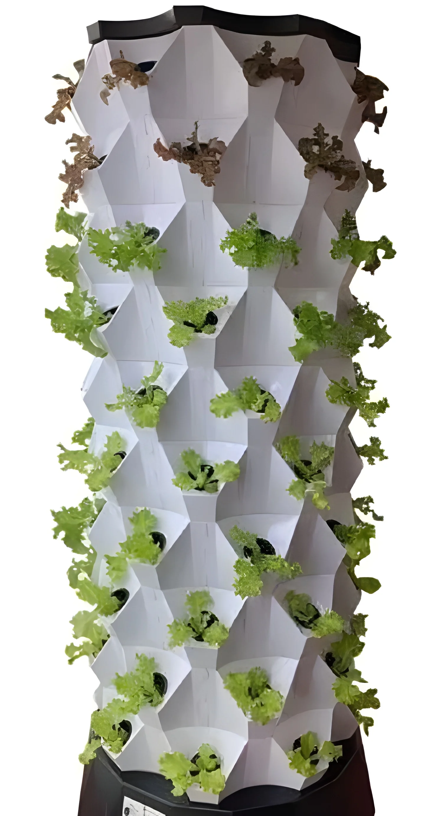 product-image-1