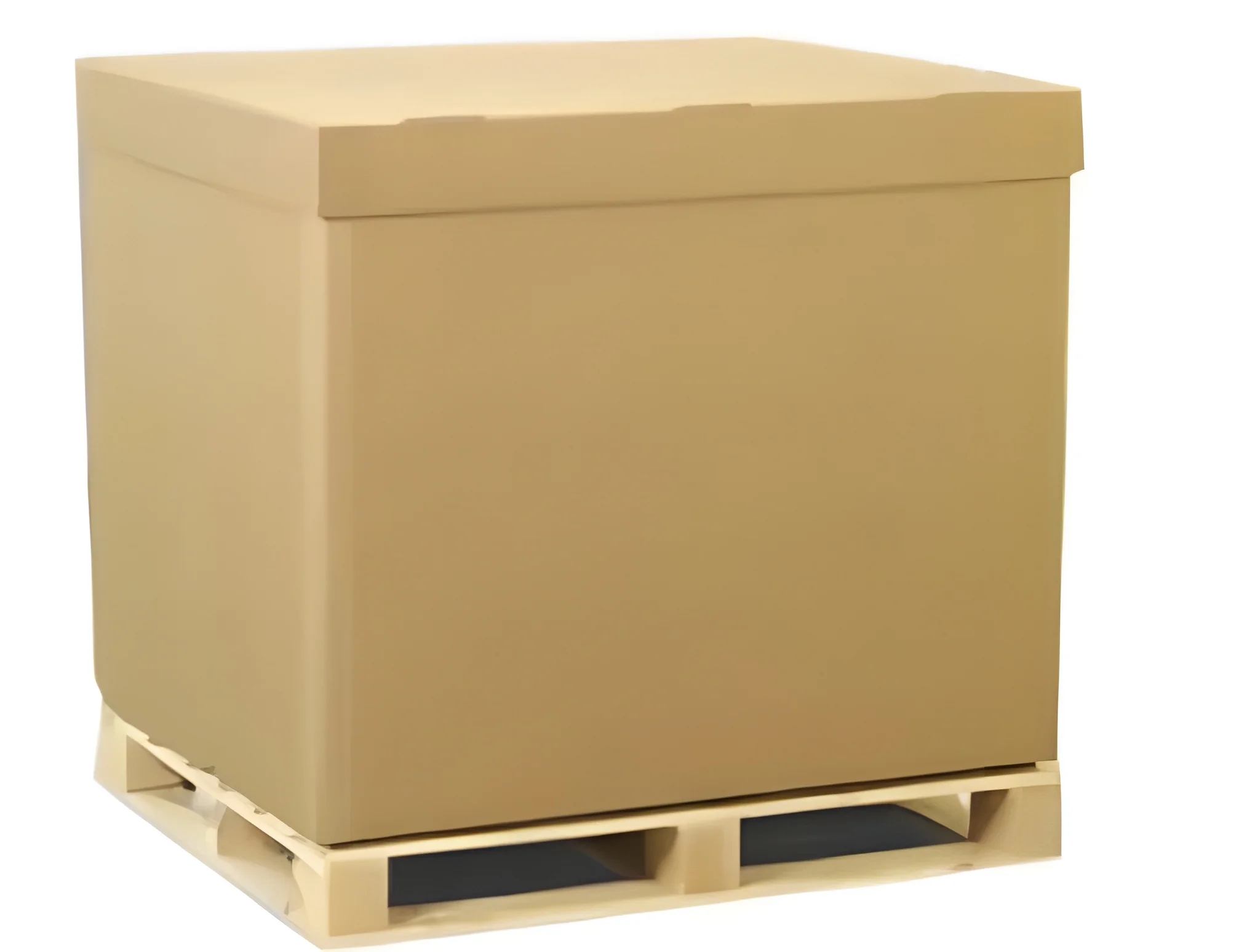 product-image-1