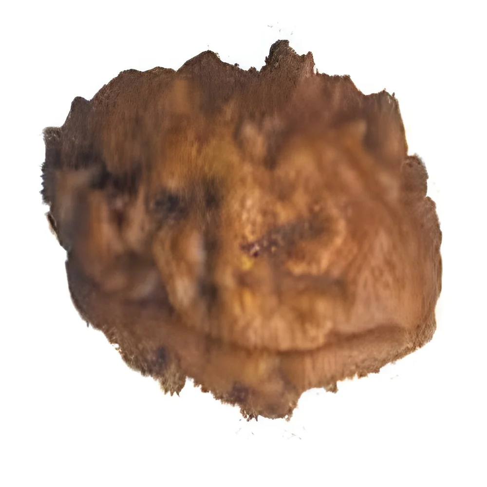 resizeImages/MjEyOA==/mediabank/images/products/2Mukhi953802011_2128.webp