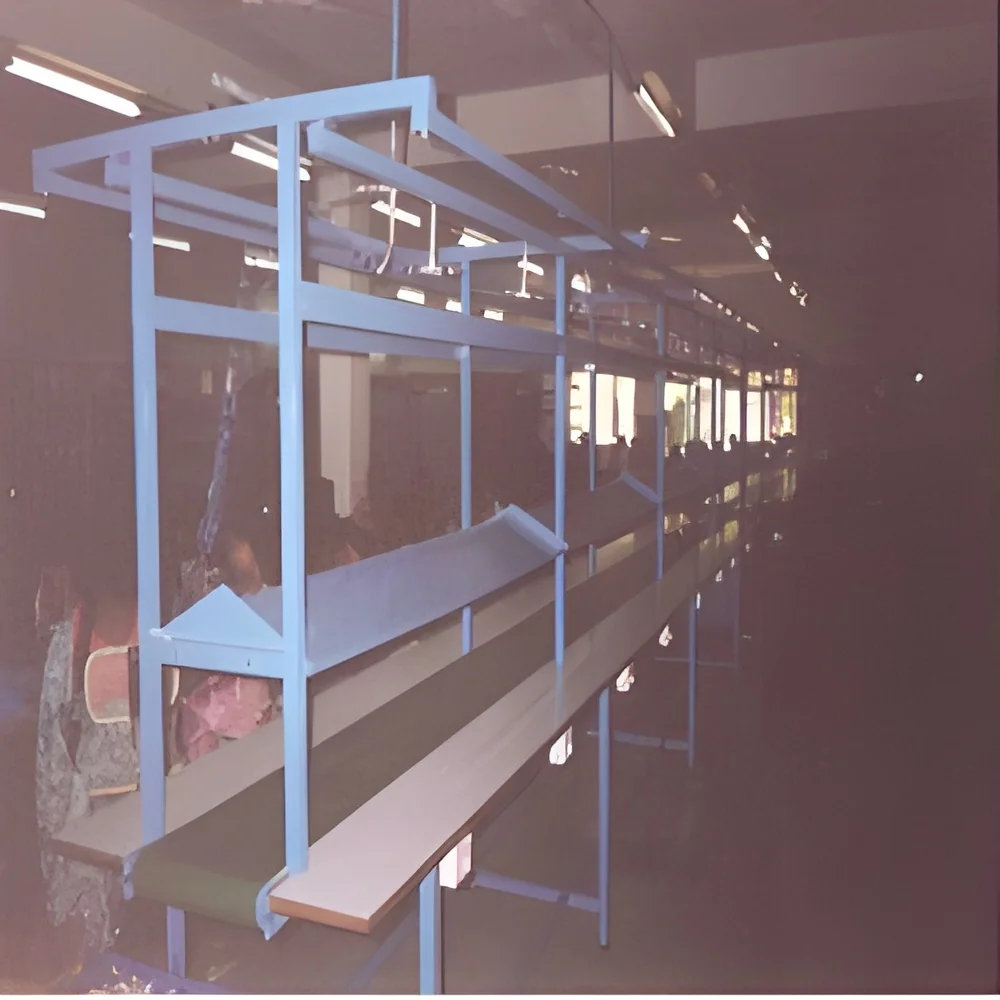 resizeImages/MjI1Mg==/mediabank/images/products/assembly-conveyor-250x250.webp