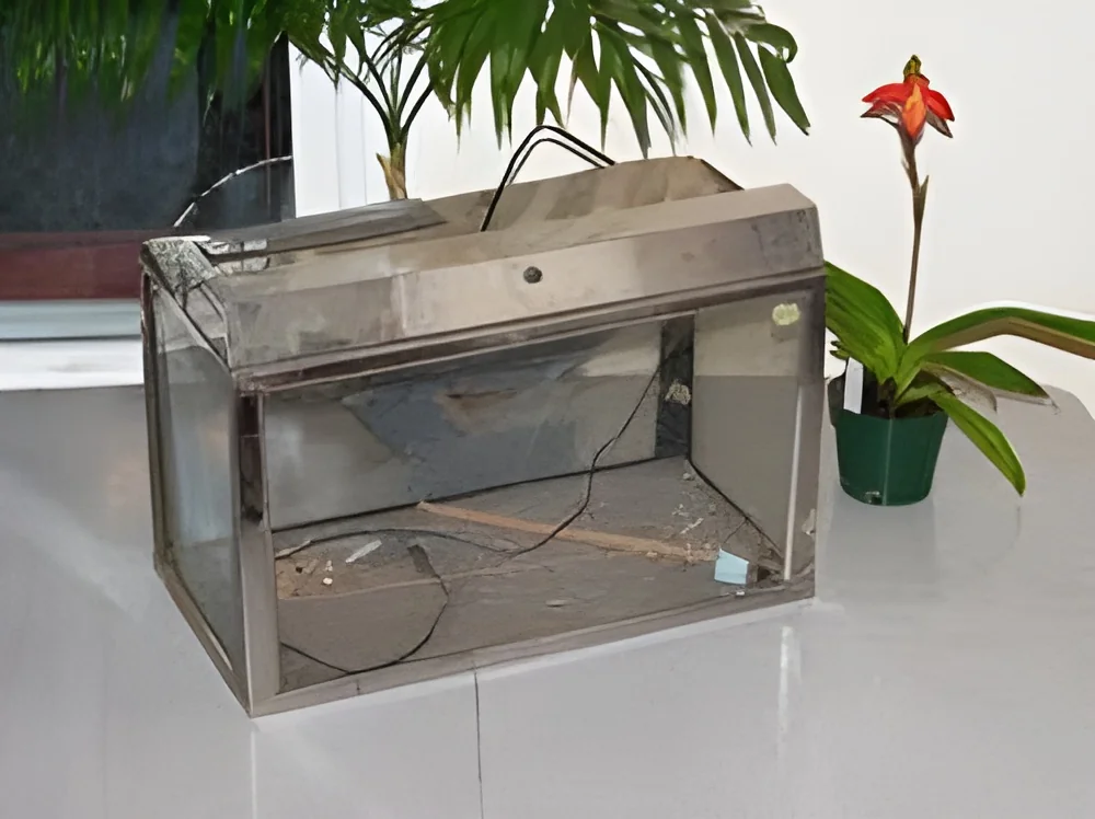 product-image-1
