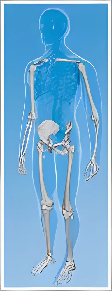 product-image-1