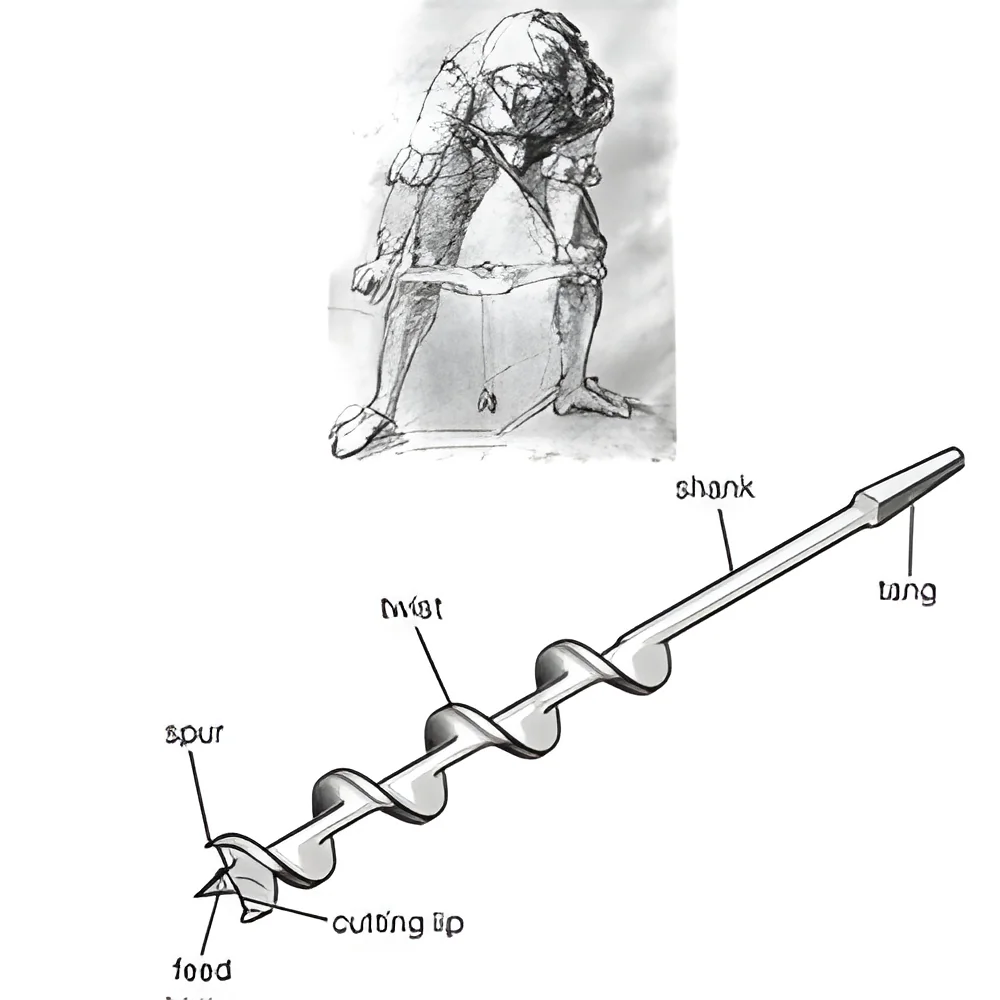 product-image-1