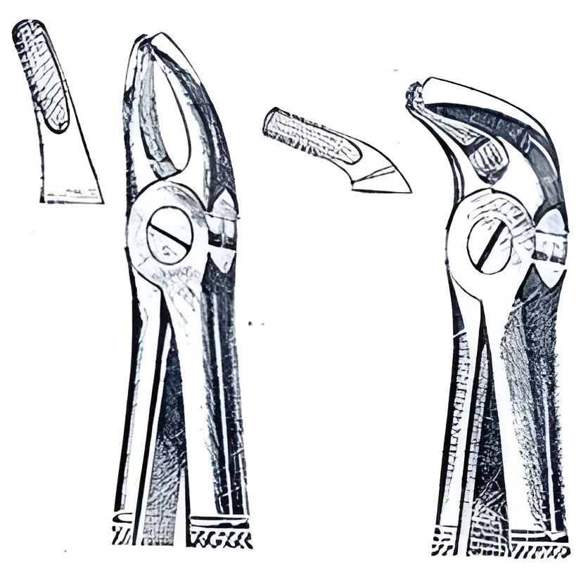 resizeImages/MjM2MDU=/mediabank/images/products/DentalExtractingForceps59403802_23605.webp