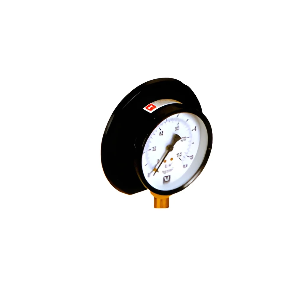 resizeImages/MjMwMA==/mediabank/images/products/pressure-gauges-250x250.webp