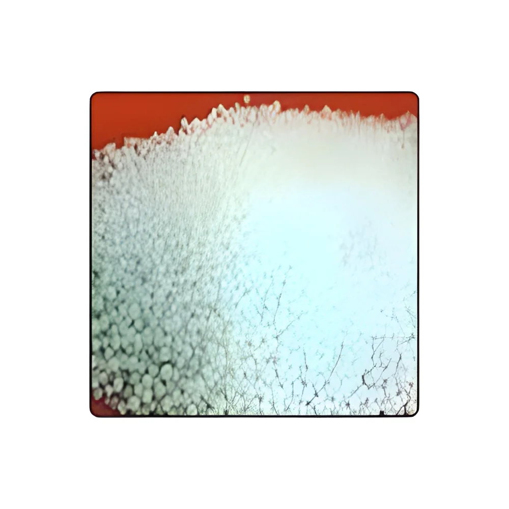 resizeImages/MjMxNTA=/mediabank/images/products/DiammoniumPhosphate506622913_23150.webp
