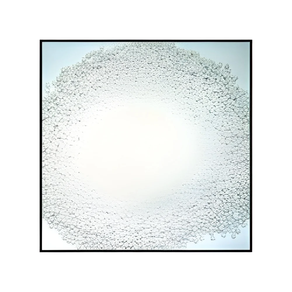 resizeImages/MjMxNTA=/mediabank/images/products/DodecahydrateTrisodiumPhosphate288686335_23150.webp