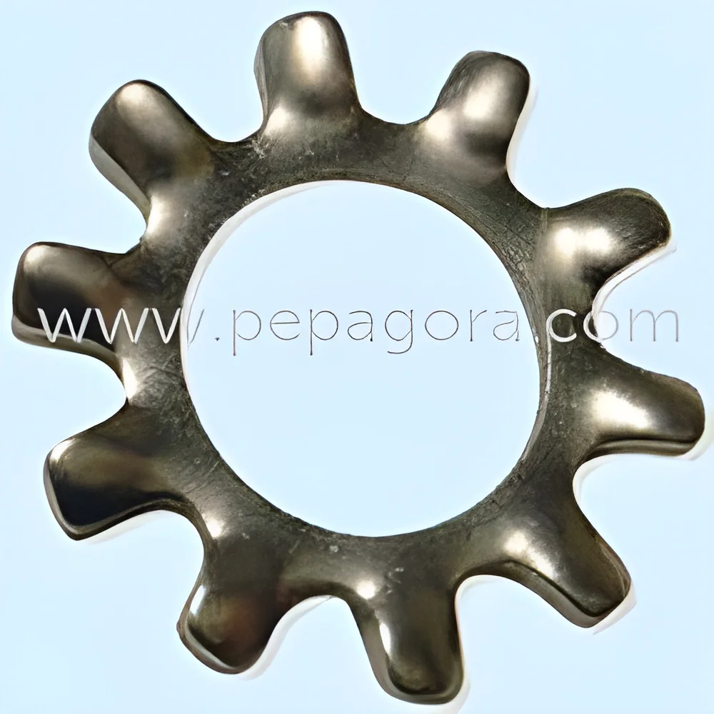 resizeImages/MjMyNDA=/mediabank/images/products/ExternalToothWashers1086386621_23240.webp
