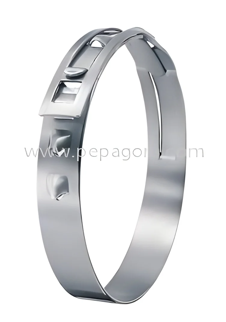 resizeImages/MjQ1MDY=/mediabank/images/products/StainlessSteelHoseClamp1087730010_24506.webp