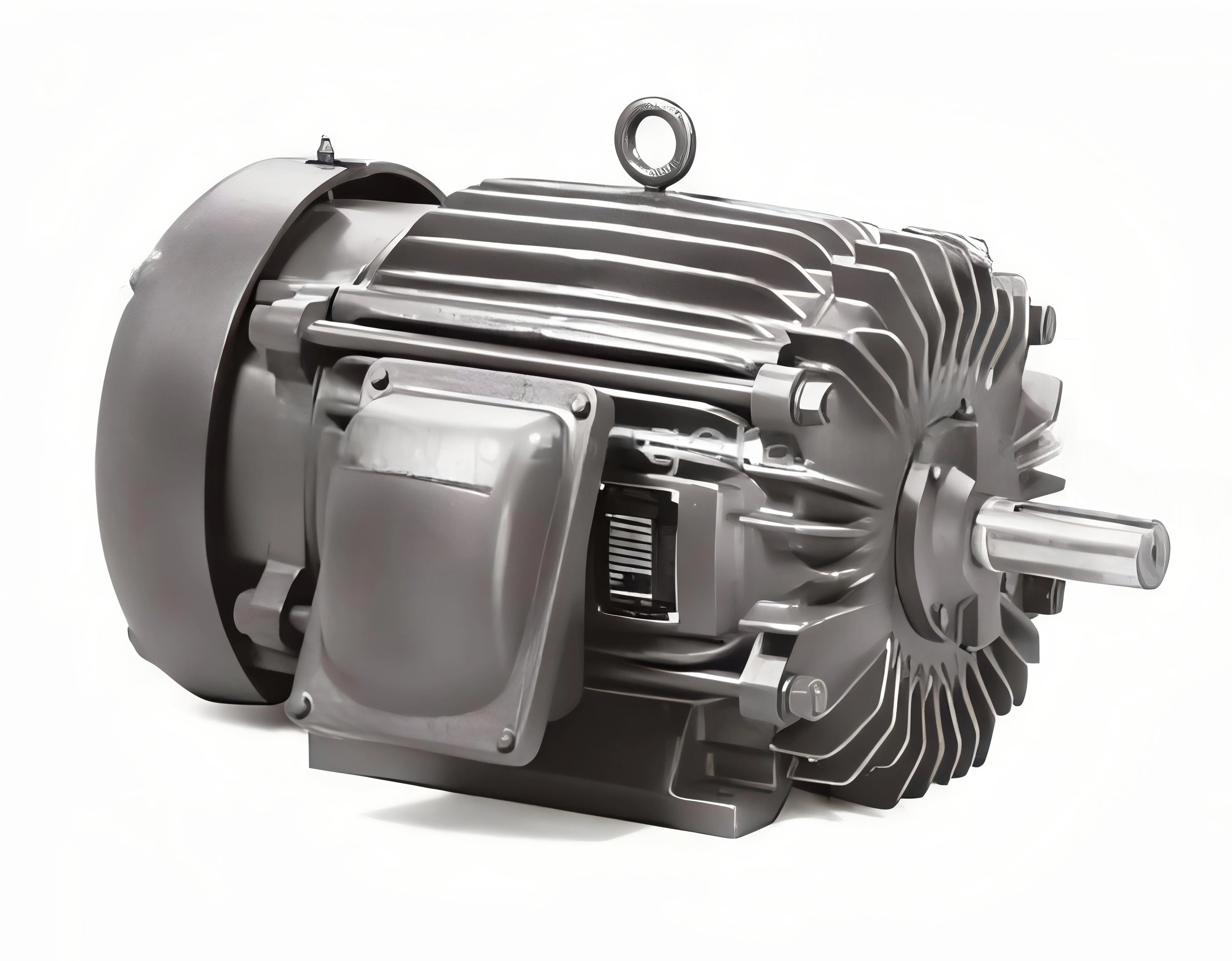 resizeImages/MjQ2MDU=/mediabank/images/products/ElectricMotor422007726_24605.webp