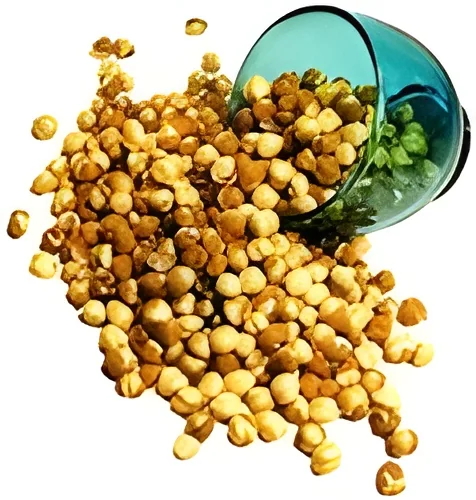 resizeImages/MjQ3Nw==/mediabank/images/products/dry-roasted-chana-125x125.webp