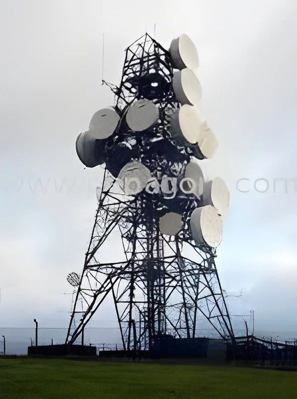 resizeImages/MjQ5MTA=/mediabank/images/products/EBTowers1338612696_24910.webp