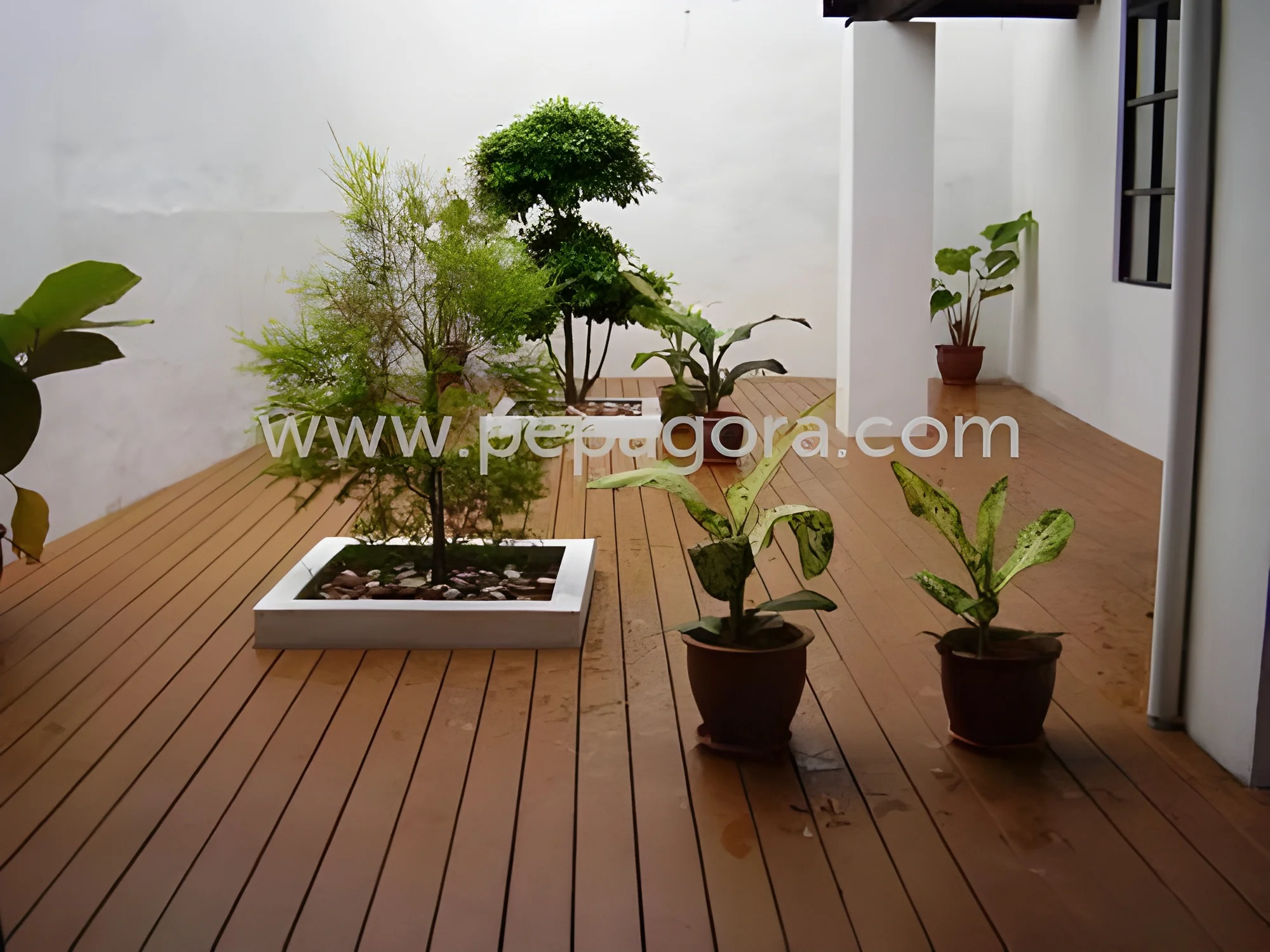resizeImages/MjQ5NTU=/mediabank/images/products/MagicWoods1545325680_24955.webp