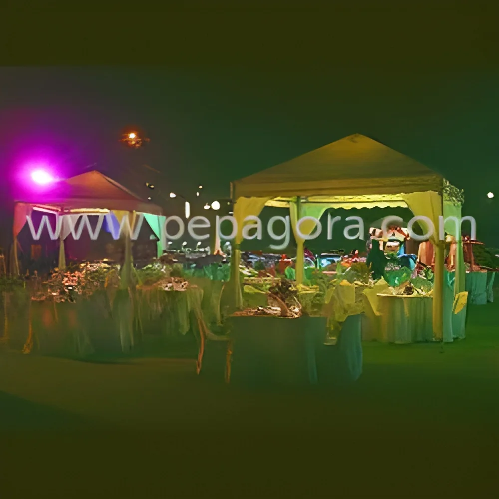 resizeImages/MjQ5Ng==/mediabank/images/products/WeddingTentsOnRent1310305675_2496.webp