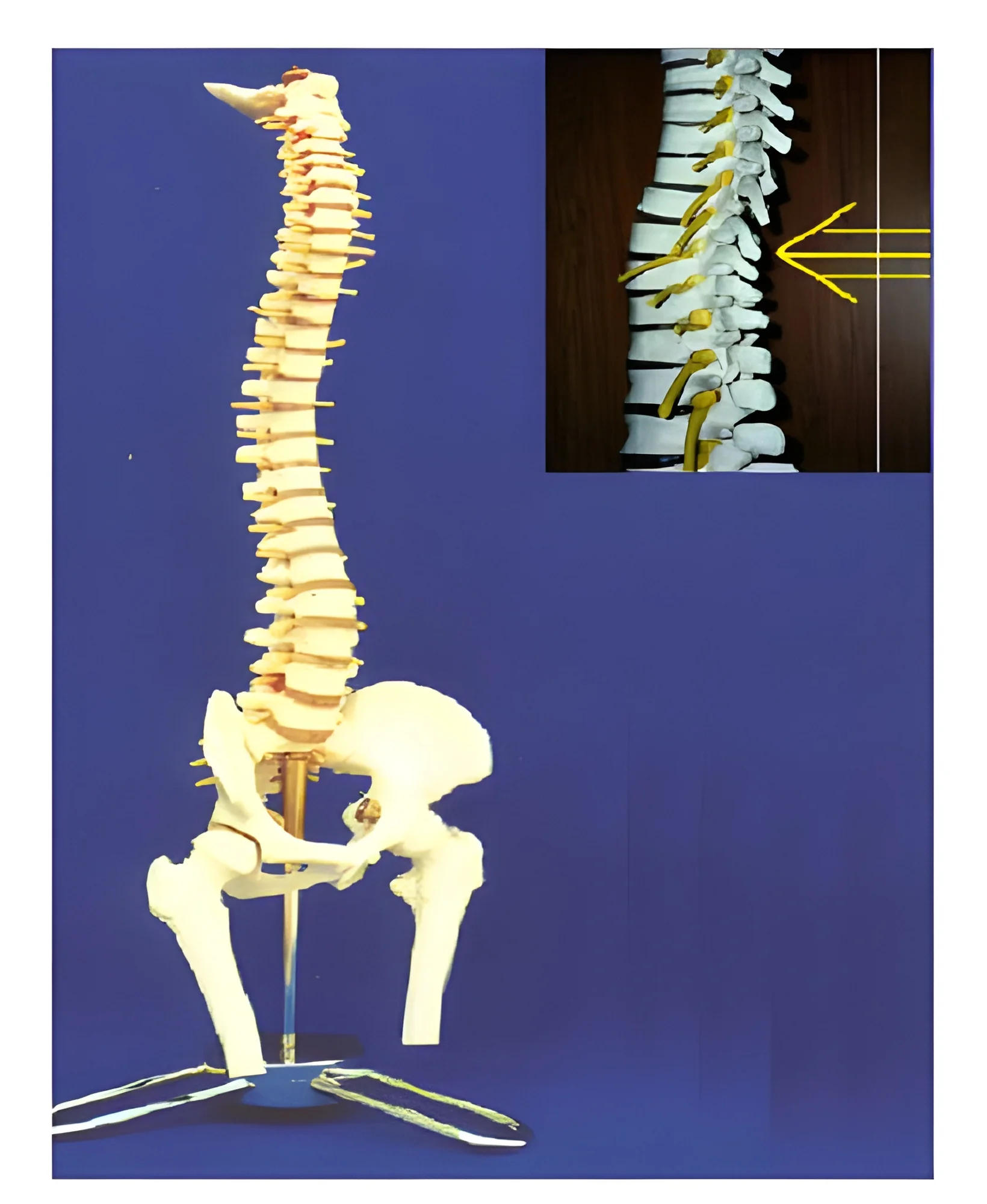 product-image-1