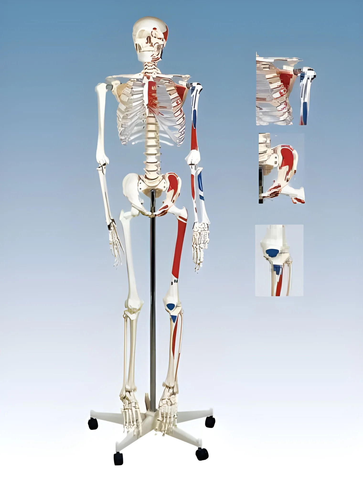product-image-1