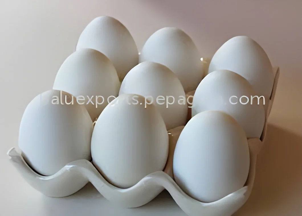 resizeImages/MjQxMTE=/mediabank/images/products/Egg1855278859_24111.webp