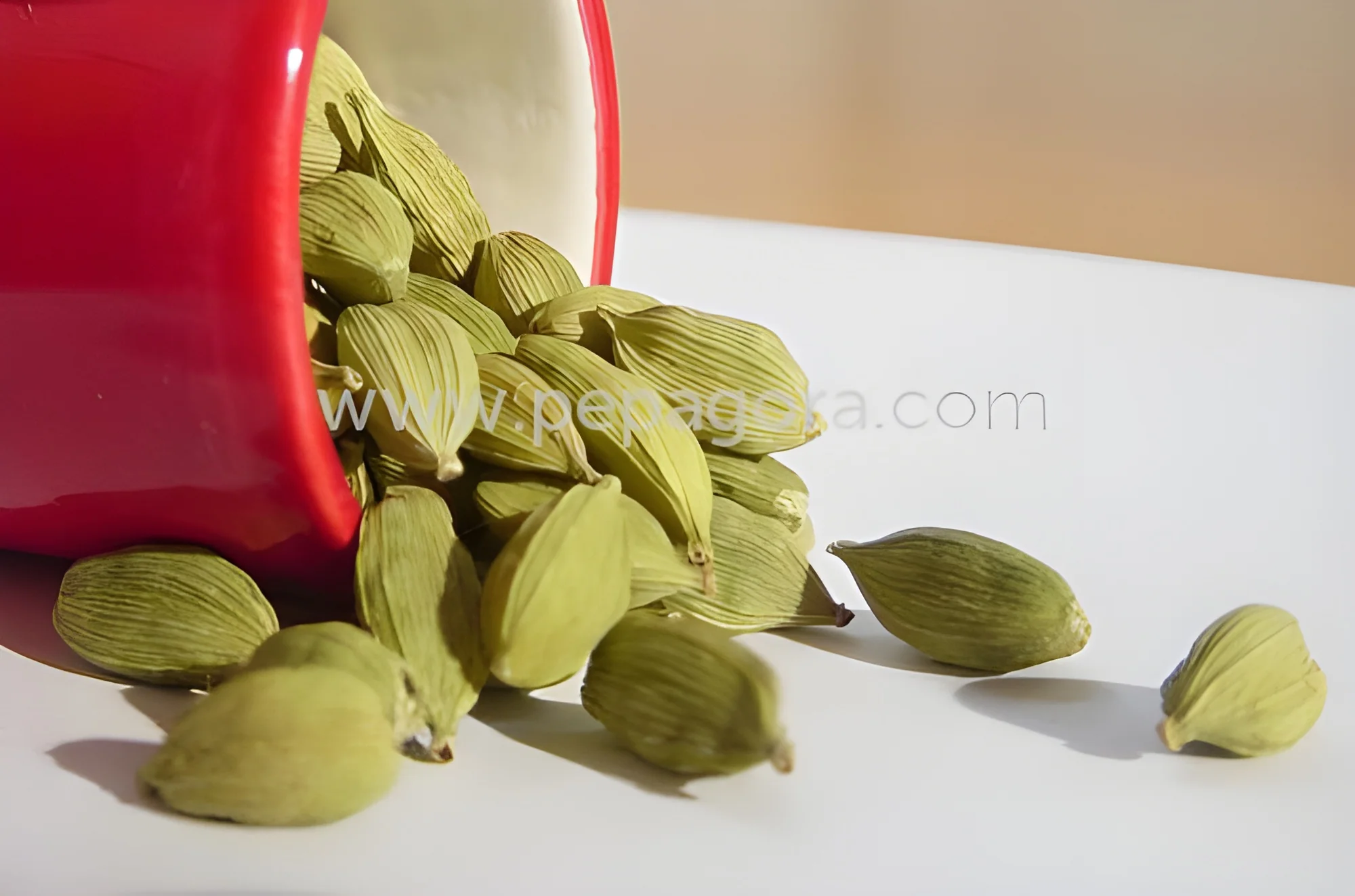 resizeImages/MjQyMzg=/mediabank/images/products/GreenCardamom1479268952_24238.webp
