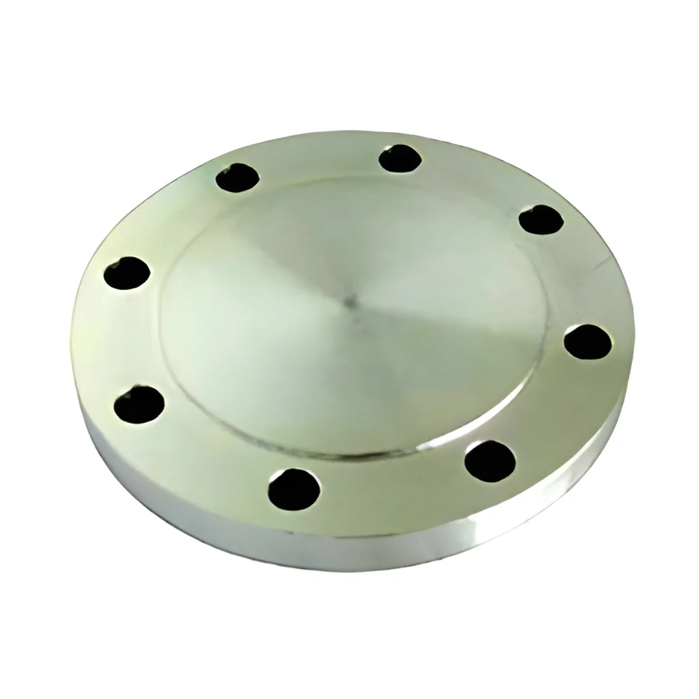 resizeImages/MjQyNg==/mediabank/images/products/blind-flange-250x250.webp