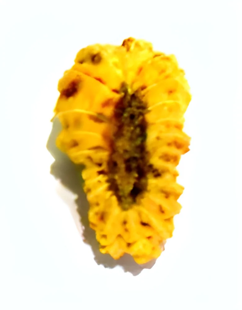 resizeImages/MjU3OQ==/mediabank/images/products/beads-076-250x250.webp