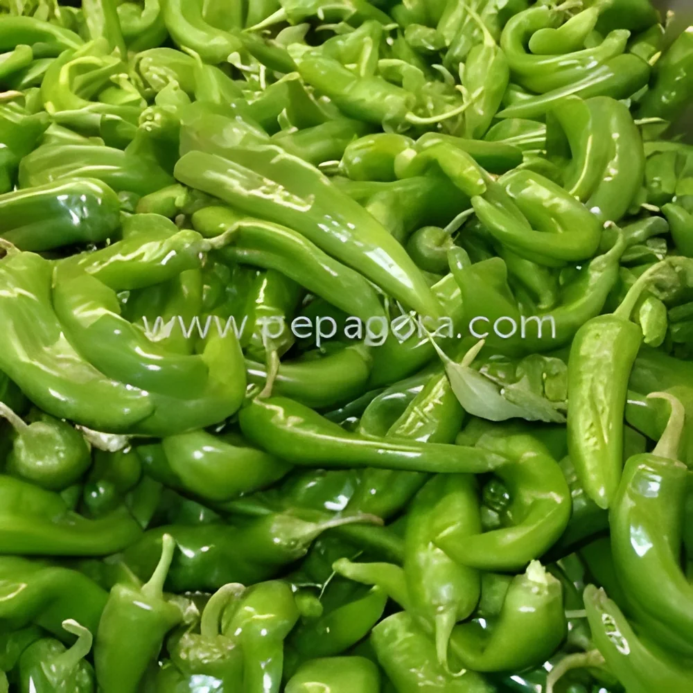 resizeImages/MjU3OTE=/mediabank/images/products/GreenChilli293836905_25791.webp