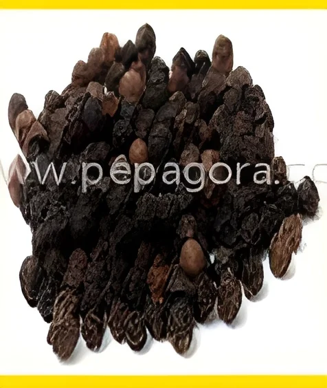 resizeImages/MjU3OTE=/mediabank/images/products/Pepper1054691320_25791.webp