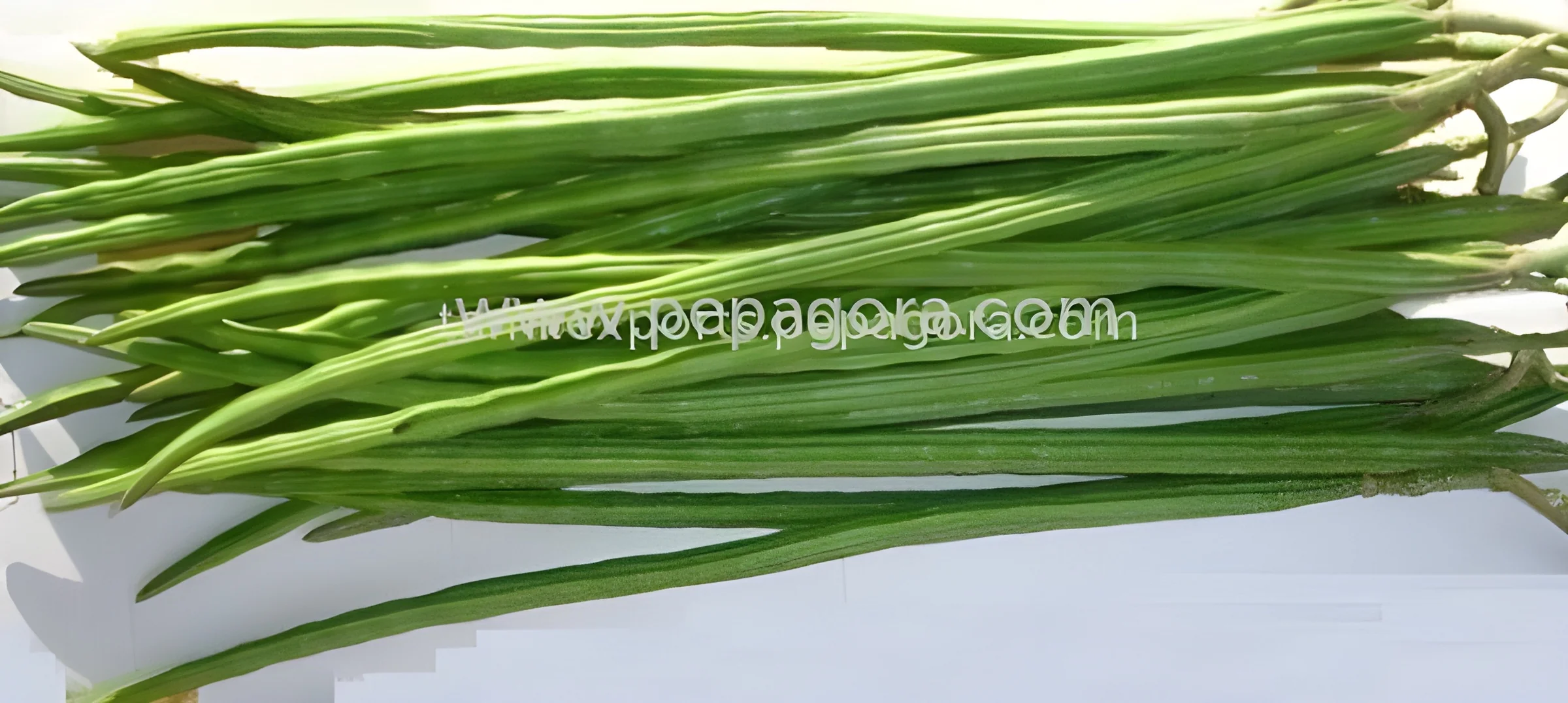 resizeImages/MjU4NzY=/mediabank/images/products/Drumstick1770144252_25876.webp