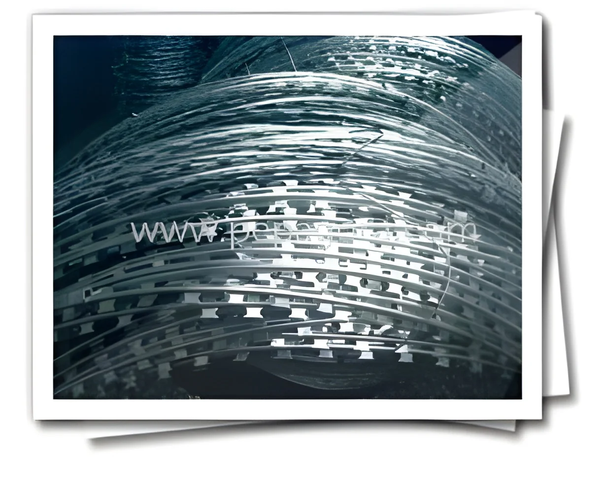 product-image-1