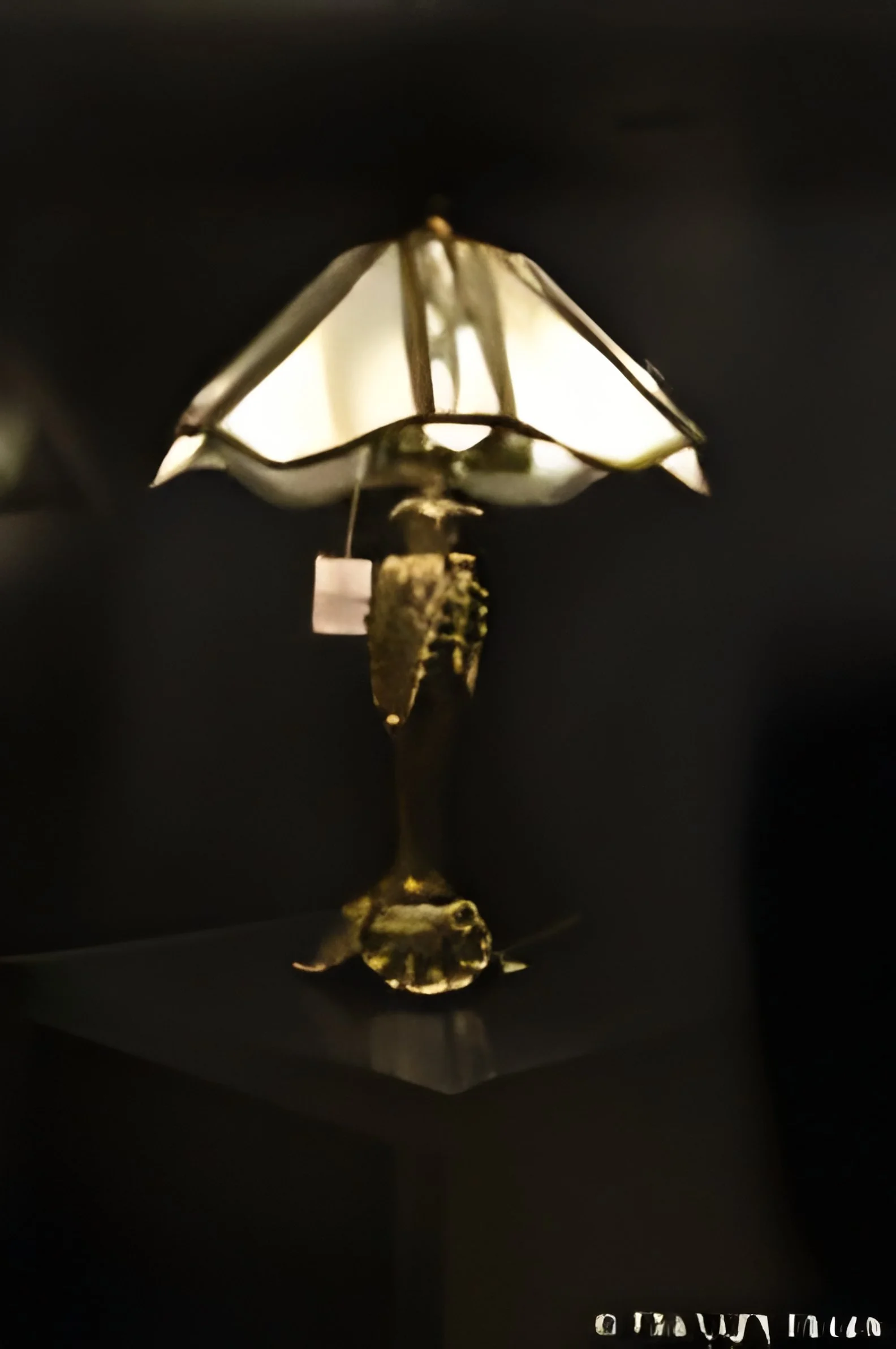 product-image-1