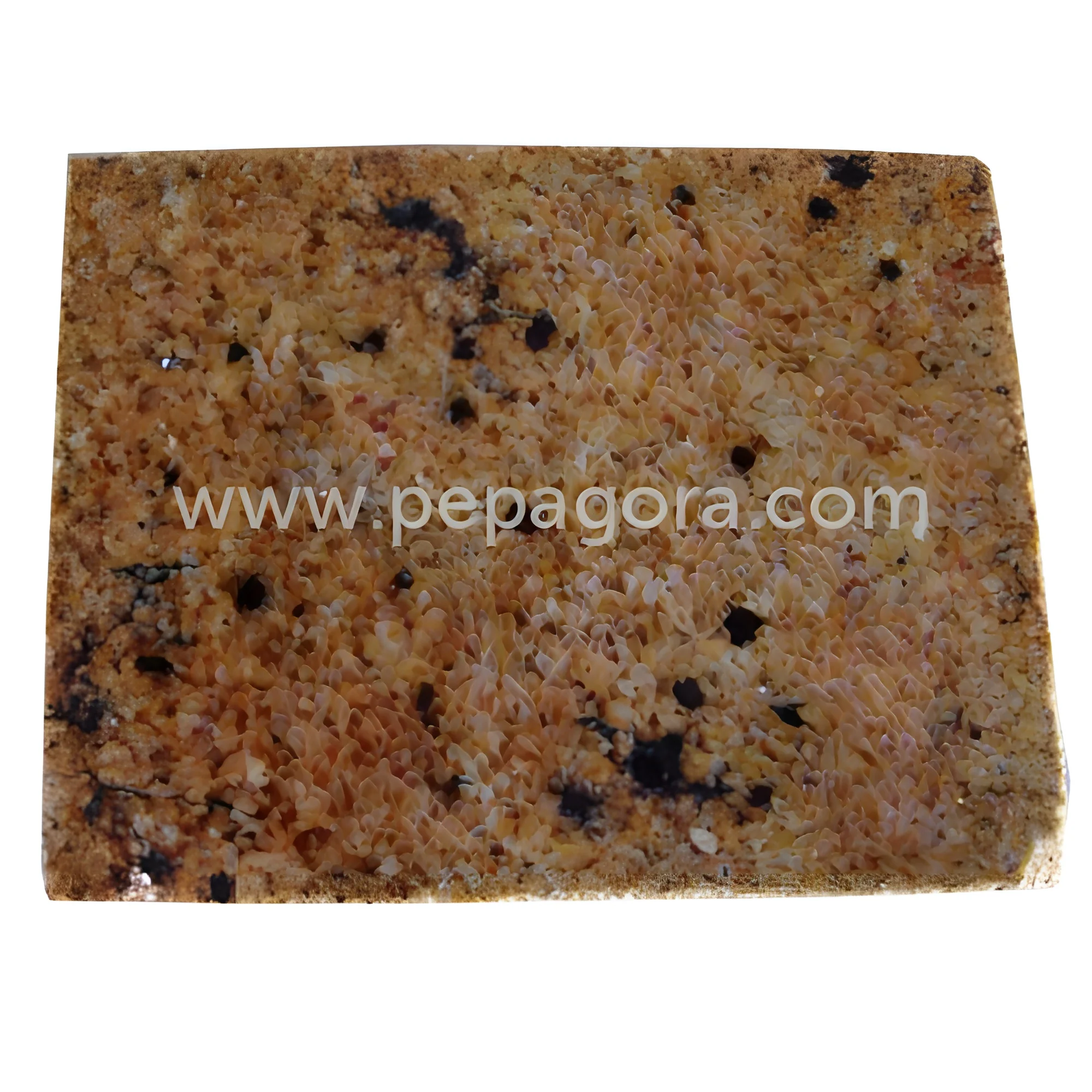 resizeImages/MjUzMg==/mediabank/images/products/PolishedGranites561204373_2532.webp