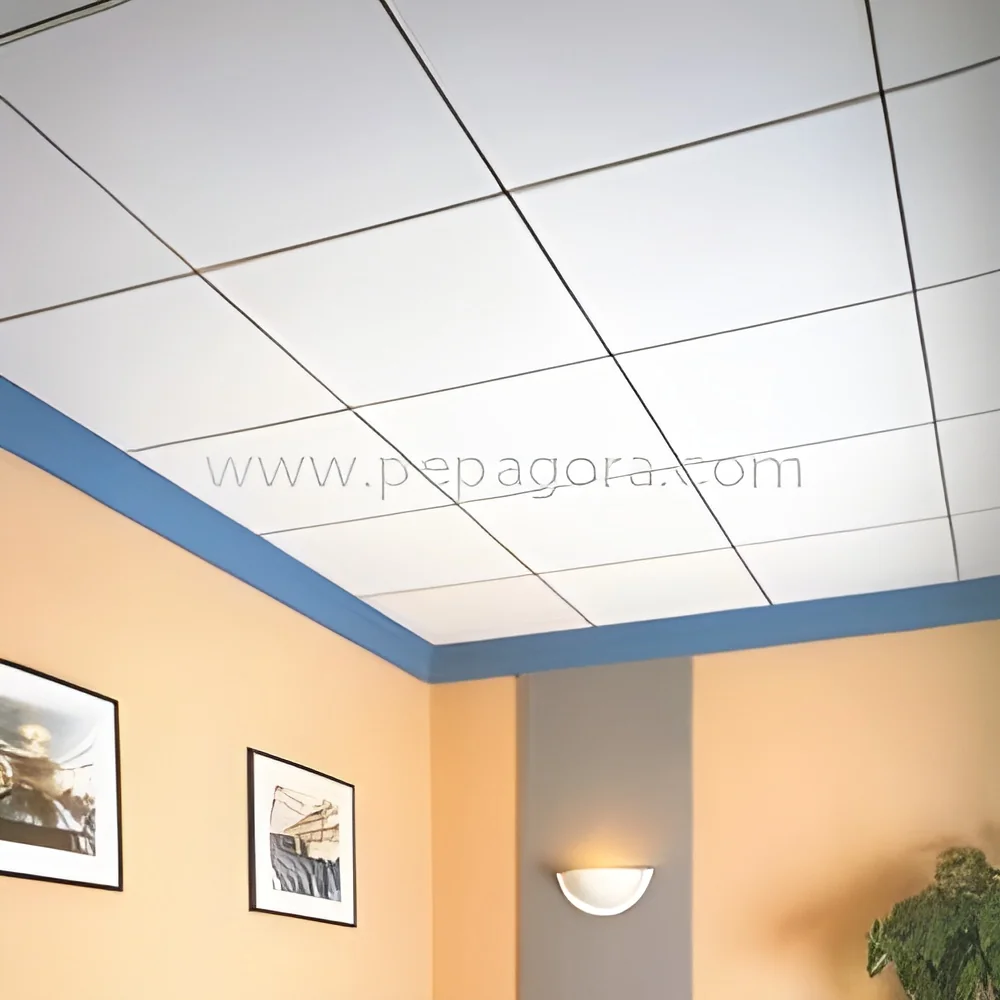 resizeImages/MjUzODY=/mediabank/images/products/Ceiling343670971_25386.webp