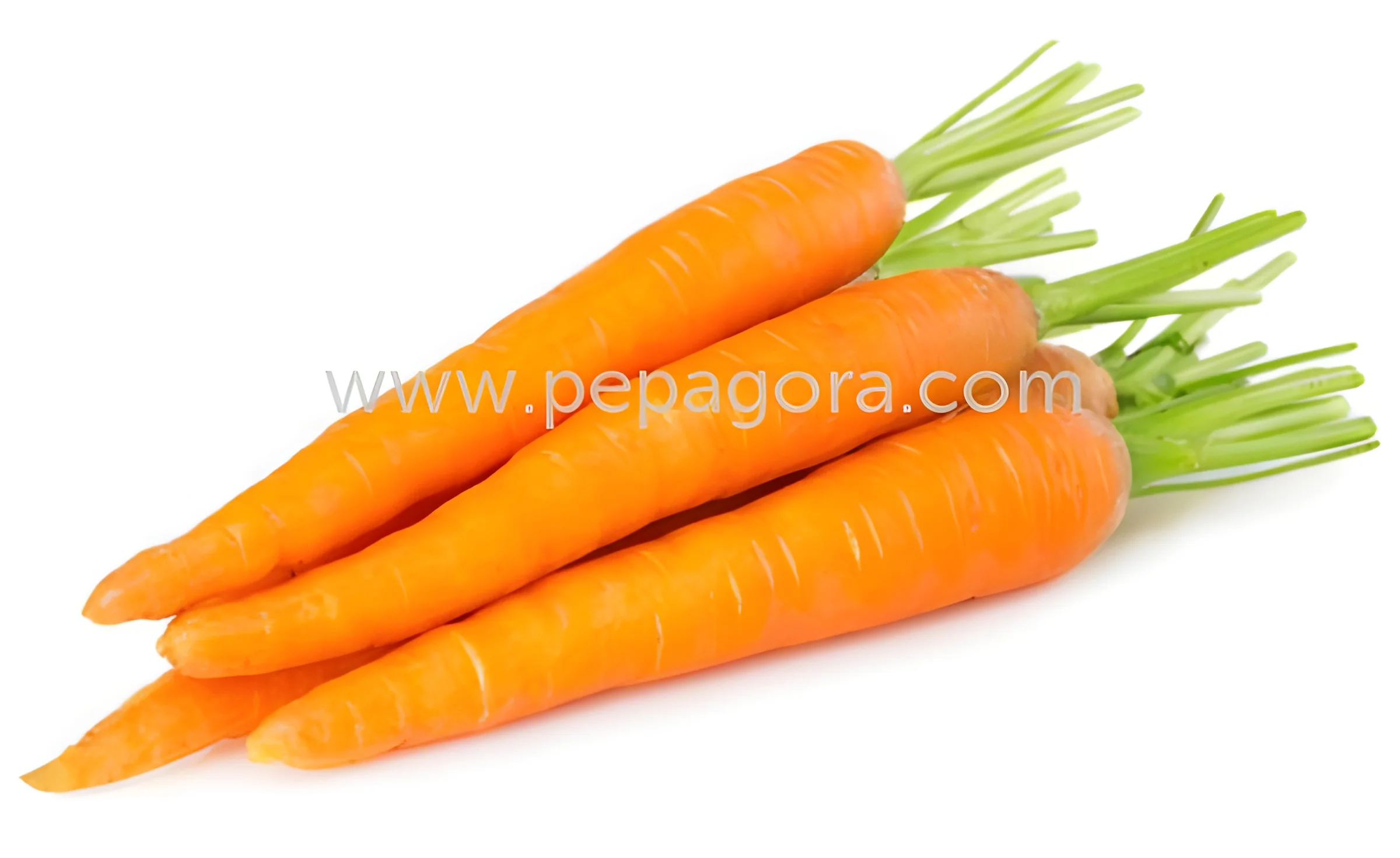 resizeImages/MjY0NTA=/mediabank/images/products/FreshCarrot456278506_26450.webp