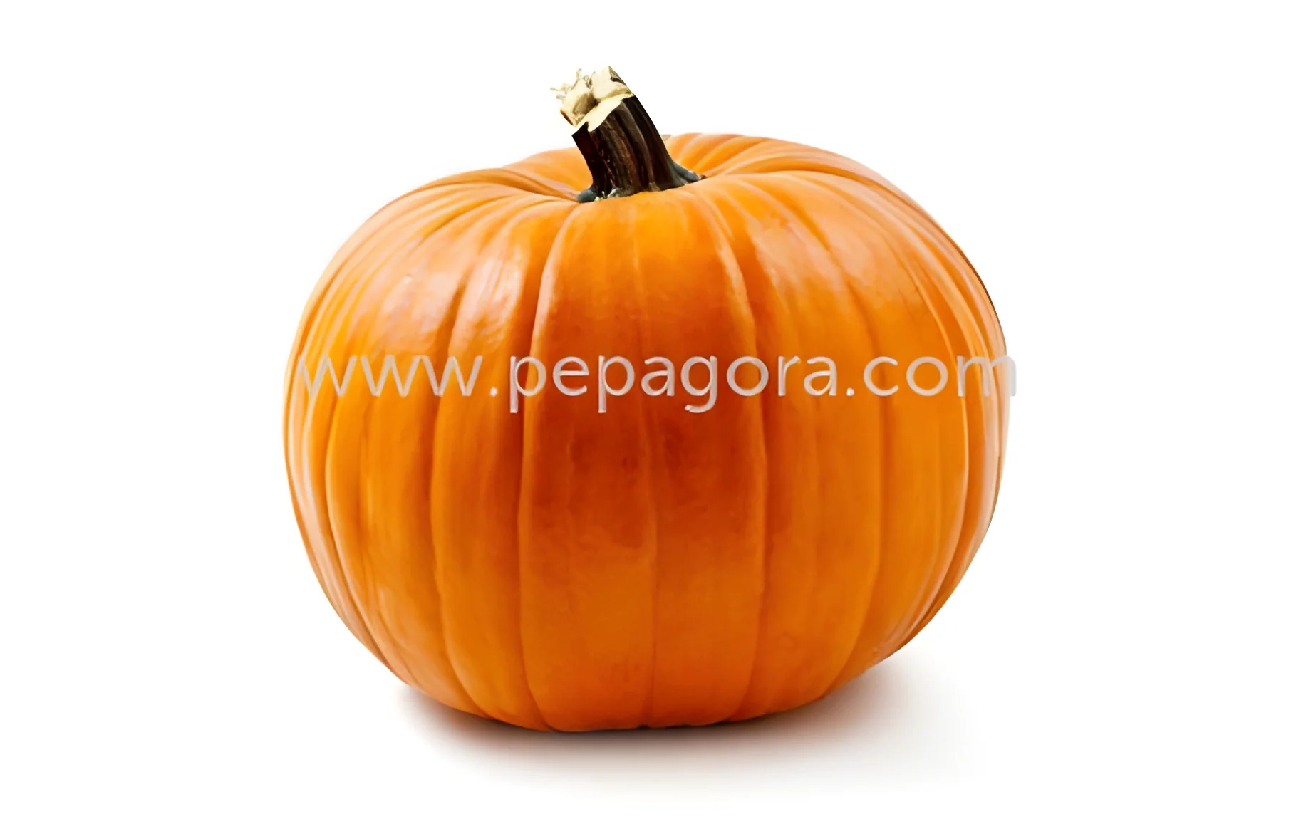 resizeImages/MjY0NTA=/mediabank/images/products/Pumpkin532140268_26450.webp