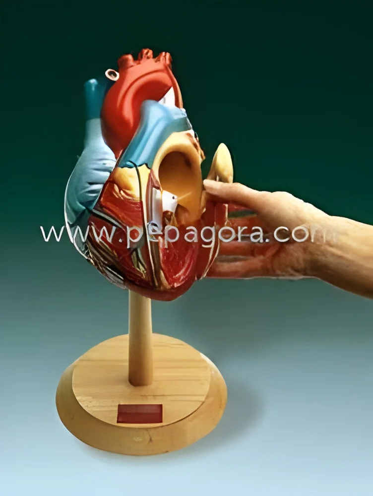 product-image-1