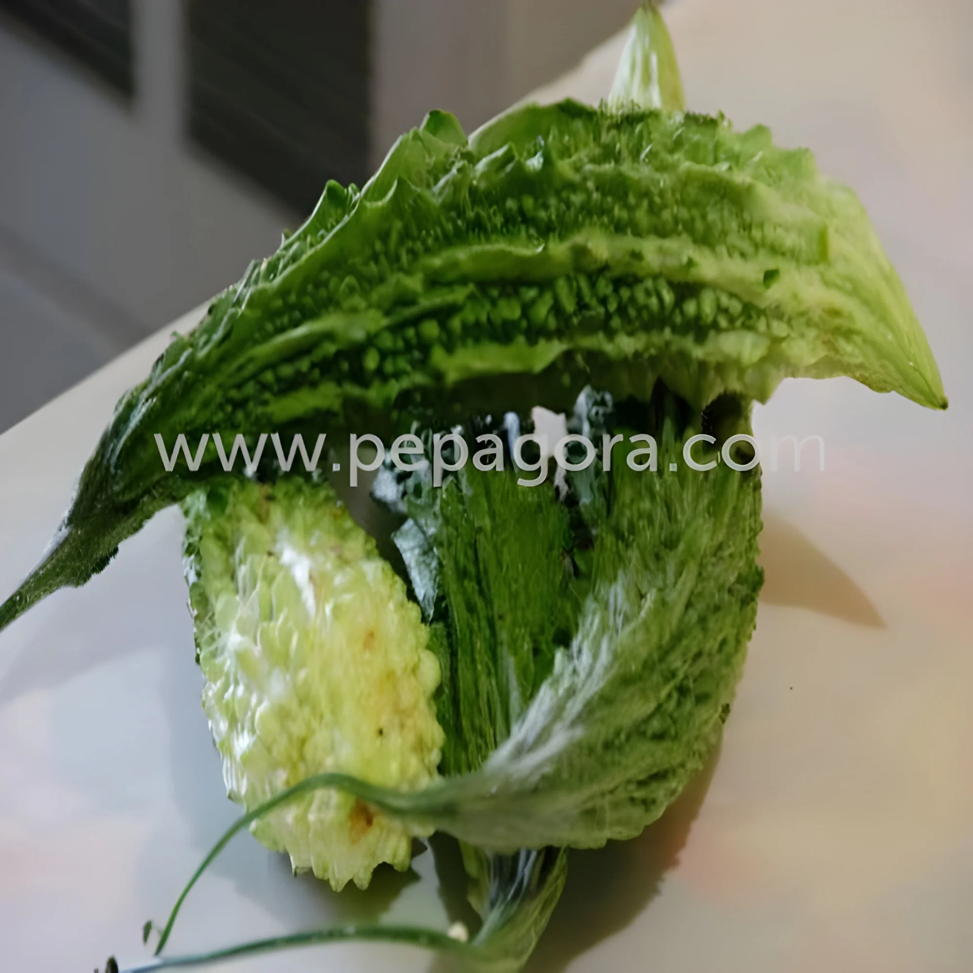 resizeImages/MjY5ODA=/mediabank/images/products/BitterGourd1093864130_26980.webp