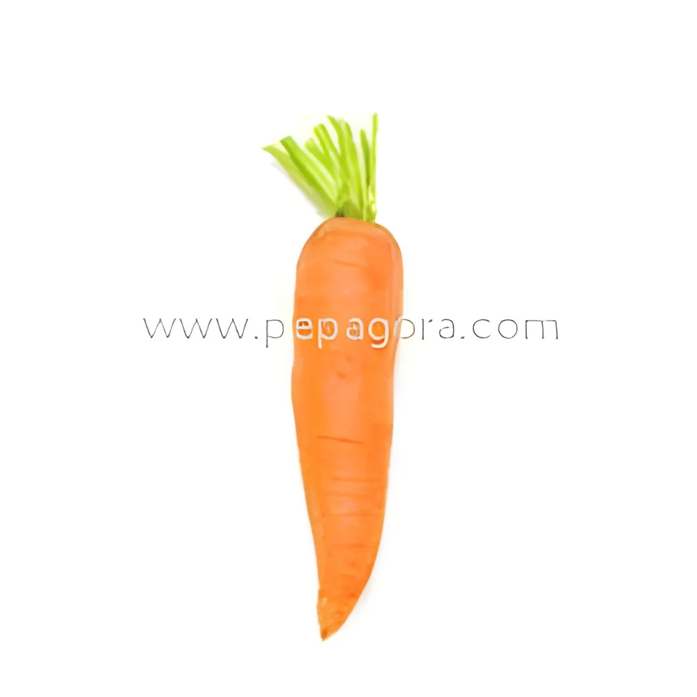 resizeImages/MjY5ODA=/mediabank/images/products/FreshCarrot1277086908_26980.webp