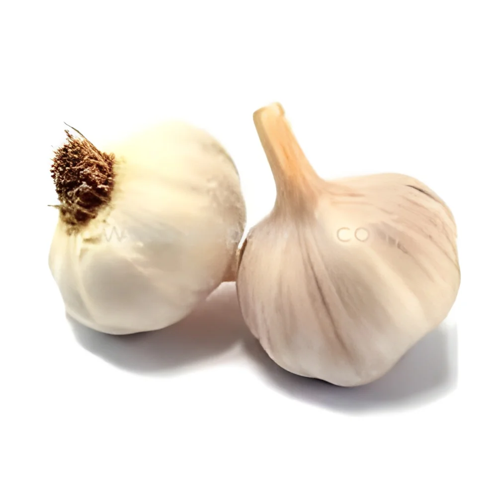resizeImages/MjYwNTA=/mediabank/images/products/Garlic357765293_26050.webp