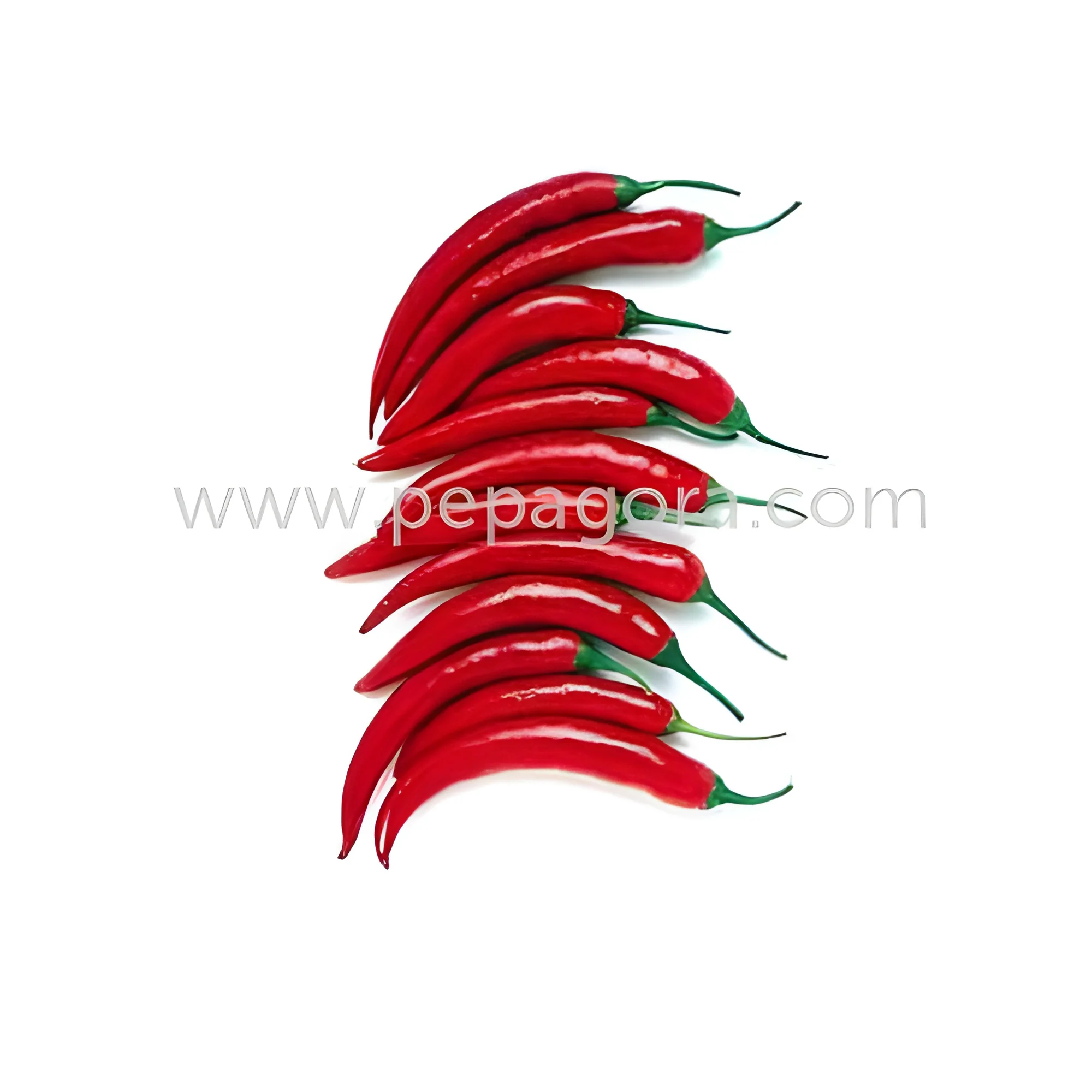 resizeImages/MjYwNTA=/mediabank/images/products/RedChilli1373808617_26050.webp
