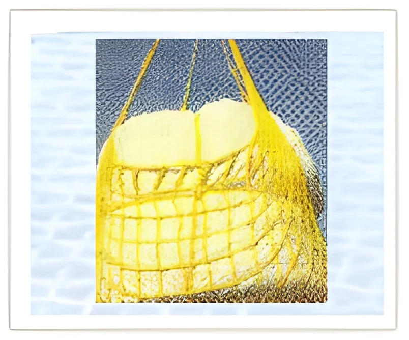 resizeImages/MjYxMg==/mediabank/images/products/cargo-nets-no-05-250x250.webp