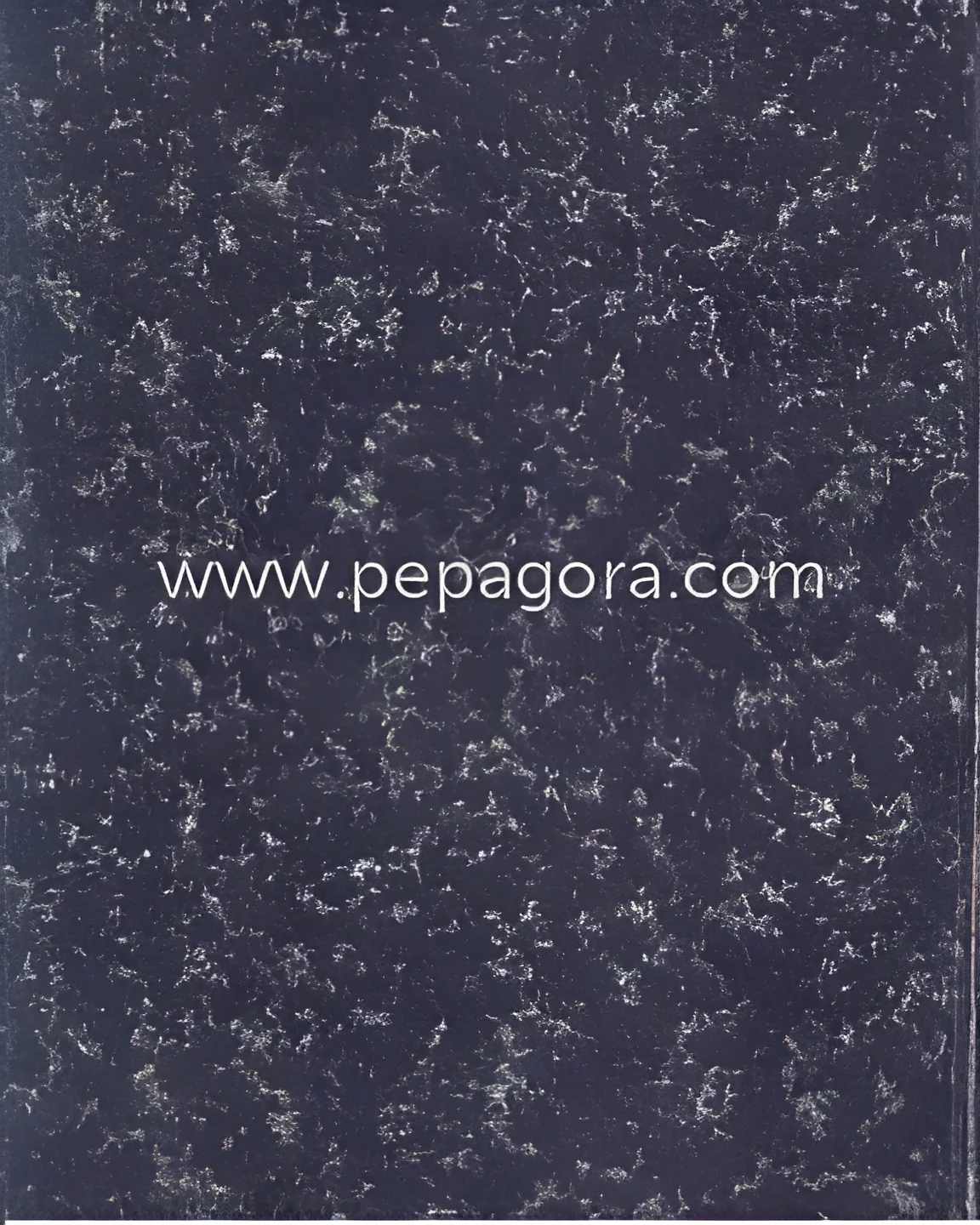 resizeImages/MjYzMDA=/mediabank/images/products/BlackPanther2070517991_26300.webp