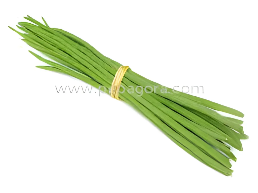 resizeImages/MjYzMTQ=/mediabank/images/products/Drumstick1986137684_26314.webp