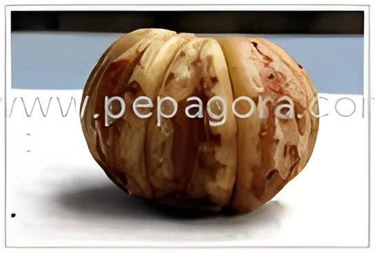 resizeImages/MjYzNjk=/mediabank/images/products/Cambodge478926859_26369.webp