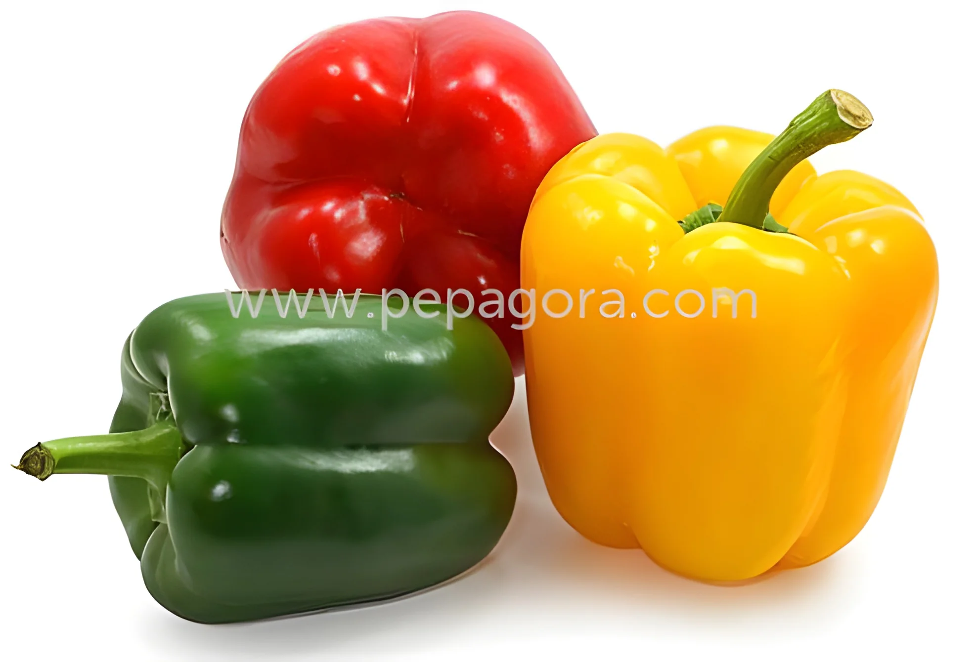 resizeImages/Mjc2Njk=/mediabank/images/products/FreshCapsicum2049152633_27669.webp
