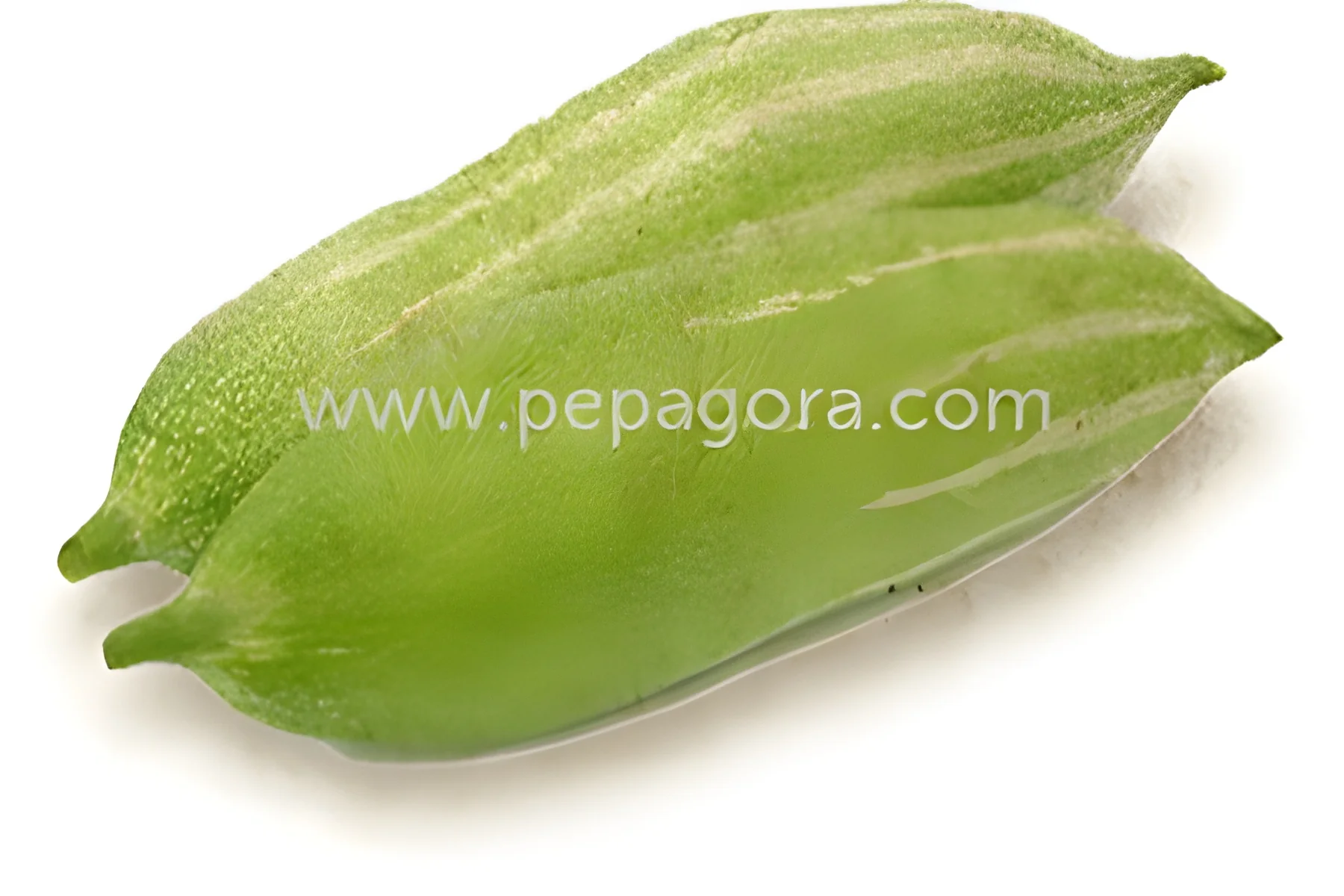 resizeImages/Mjc2Njk=/mediabank/images/products/SnakeGourd537618662_27669.webp